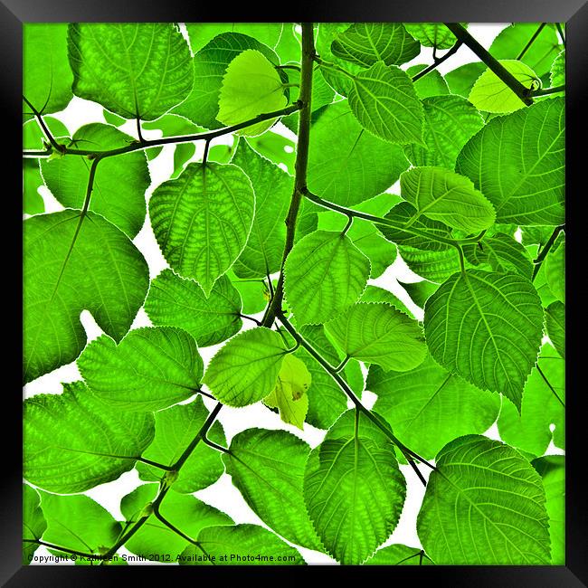 Green leaves Framed Print by Kathleen Smith (kbhsphoto)