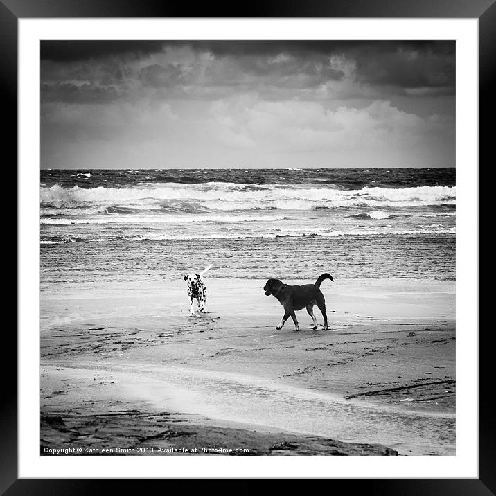 Dogs playing on the beach Framed Mounted Print by Kathleen Smith (kbhsphoto)