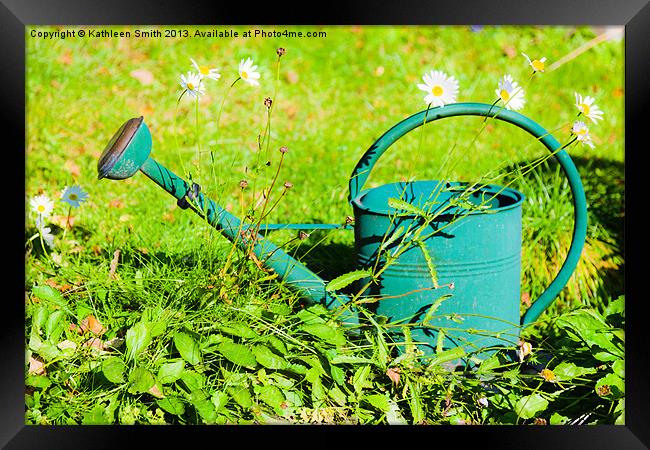 Green watering can and daisies Framed Print by Kathleen Smith (kbhsphoto)