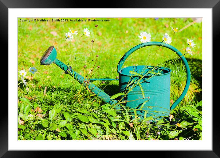 Green watering can and daisies Framed Mounted Print by Kathleen Smith (kbhsphoto)