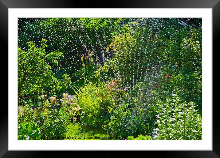 Watering the garden in summer Framed Mounted Print by Kathleen Smith (kbhsphoto)