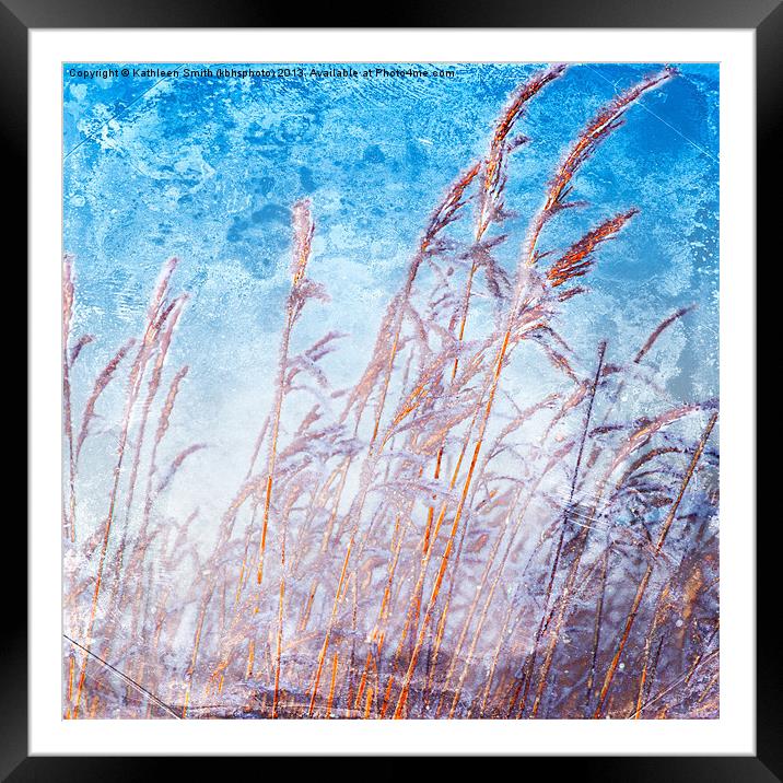 Reeds with hoar frost Framed Mounted Print by Kathleen Smith (kbhsphoto)