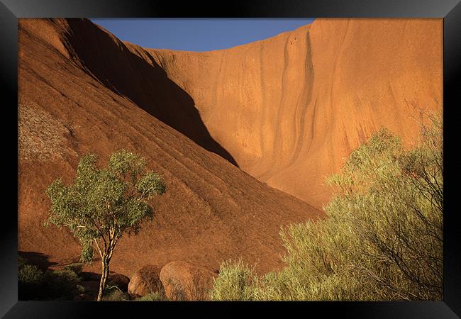Ayers Rock Uluru Framed Print by peter schickert
