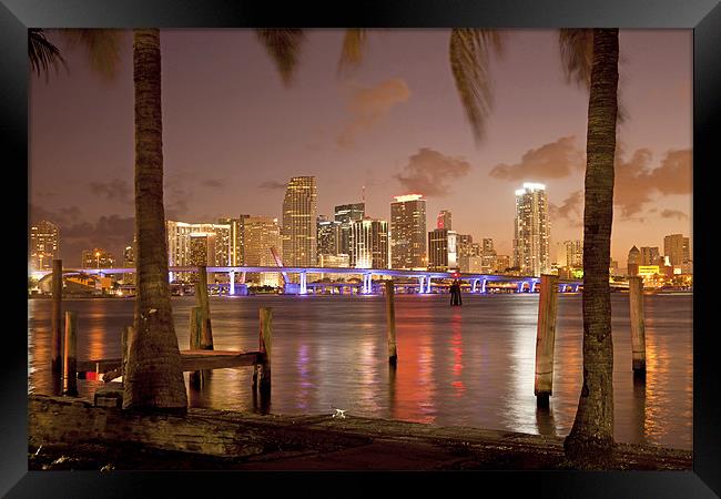 Downtown Miami,  Florida, Framed Print by peter schickert