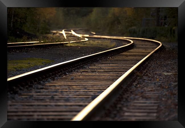 railway track Framed Print by peter schickert