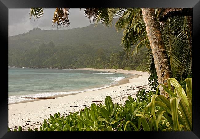 Beach Anse Takamaka Seychelles Framed Print by peter schickert