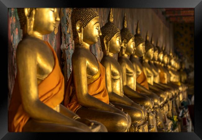 golden Buddha Statues Framed Print by peter schickert