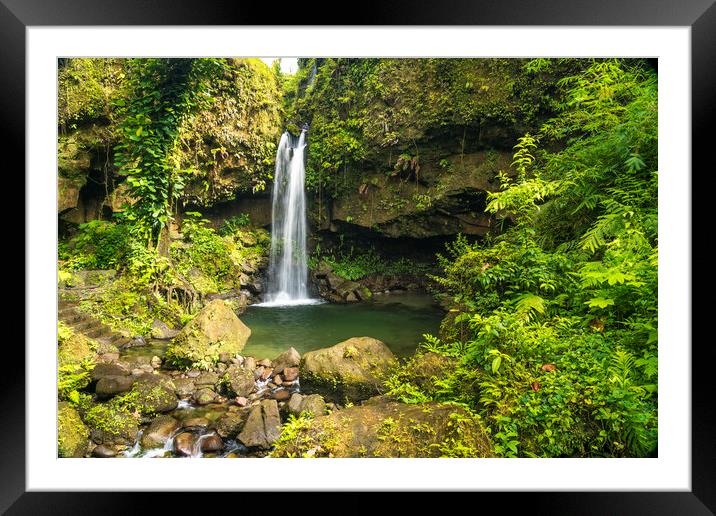 Wasserfall, Dominica, Caribbean  Framed Mounted Print by peter schickert