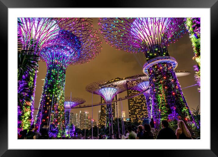  Super Trees Singapore,  Framed Mounted Print by peter schickert
