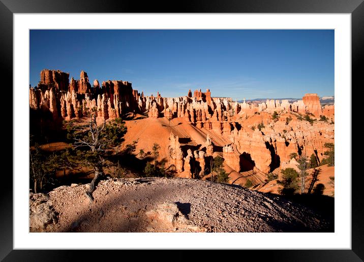 Bryce Canyon Framed Mounted Print by peter schickert
