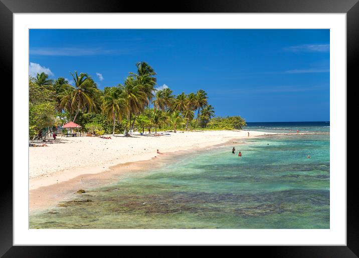 Guadeloupe Beach Framed Mounted Print by peter schickert