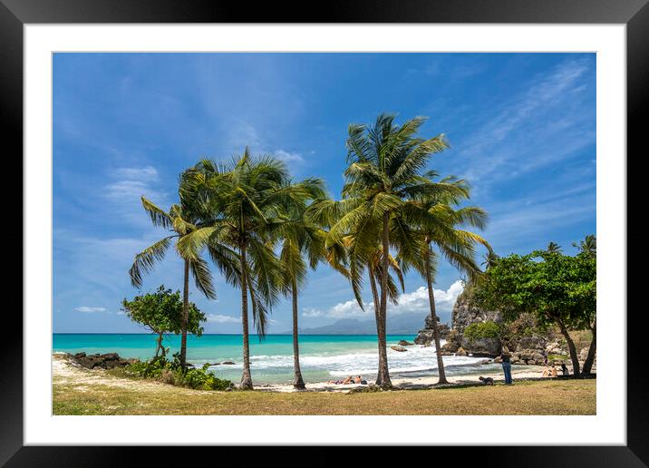 Carribean beach Framed Mounted Print by peter schickert