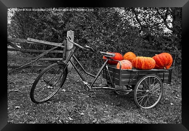  Lincolnshire Pumpkins Framed Print by Nick Wardekker