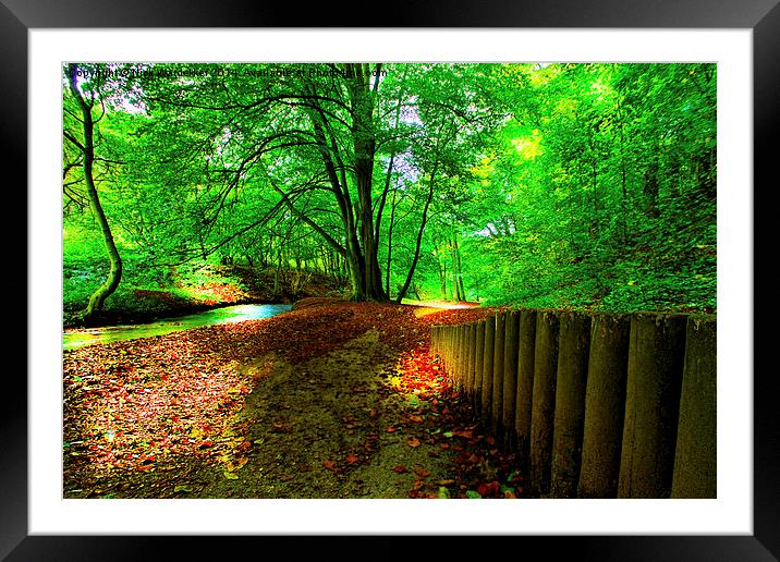  Hubbards Hills Lincolnshire Framed Mounted Print by Nick Wardekker