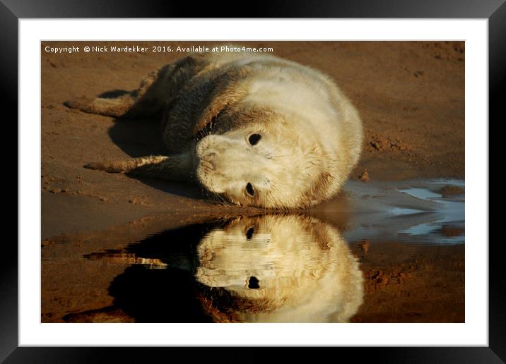 Reflecting on life.... Framed Mounted Print by Nick Wardekker