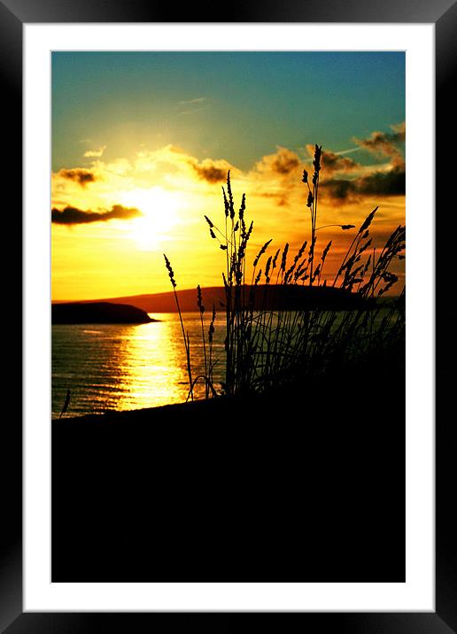 Summer Sunset Framed Mounted Print by Charlotte Buckley