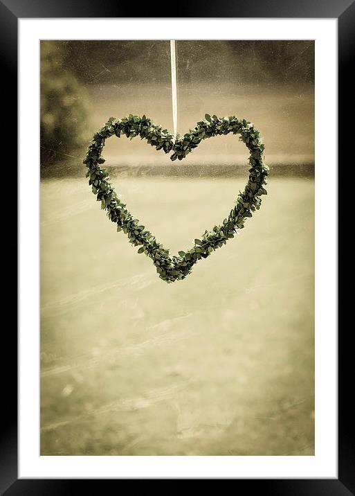 Heart made of Leaves Framed Mounted Print by Dan Fisher