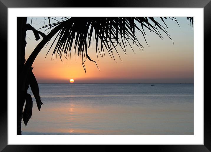 Zanzibar Sunset Framed Mounted Print by Kitty 