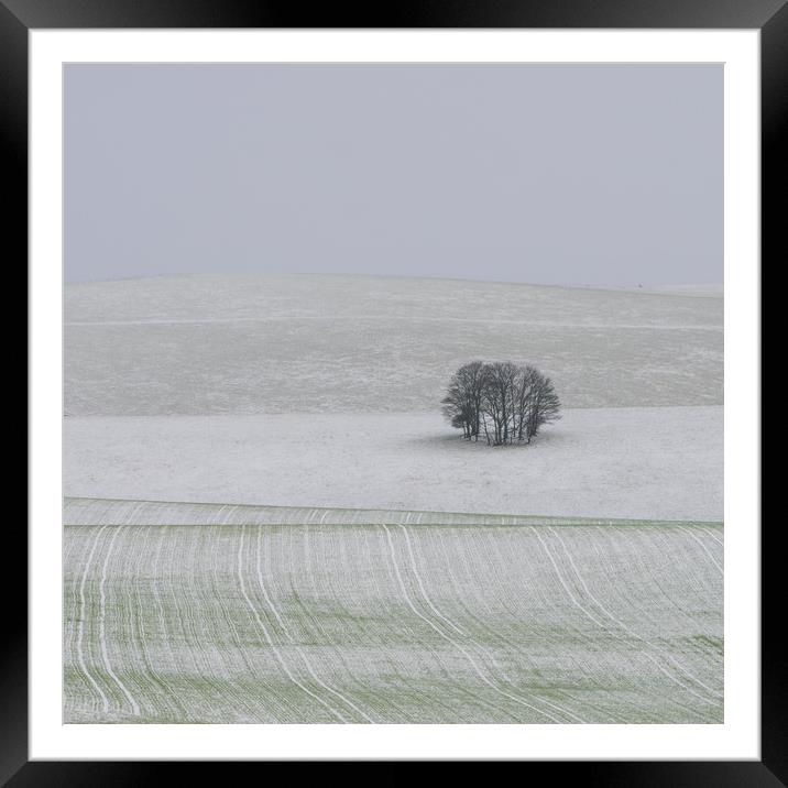 South Downs, Sussex, Snow Framed Mounted Print by Sue MacCallum- Stewart