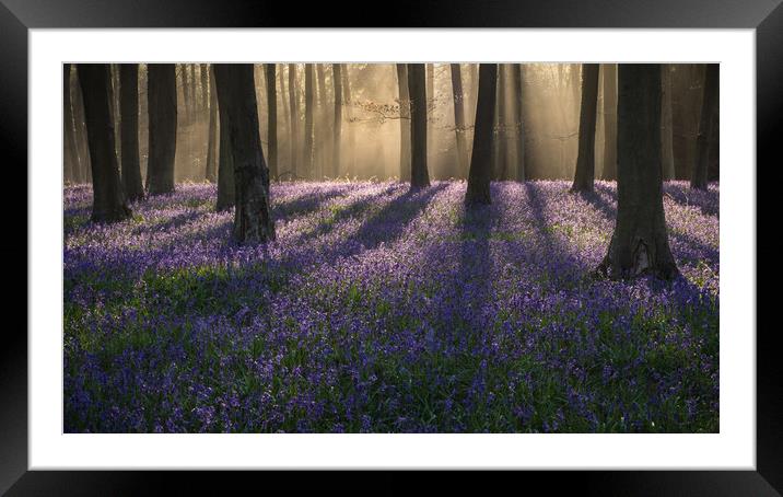 Another early start !! Framed Mounted Print by Sue MacCallum- Stewart
