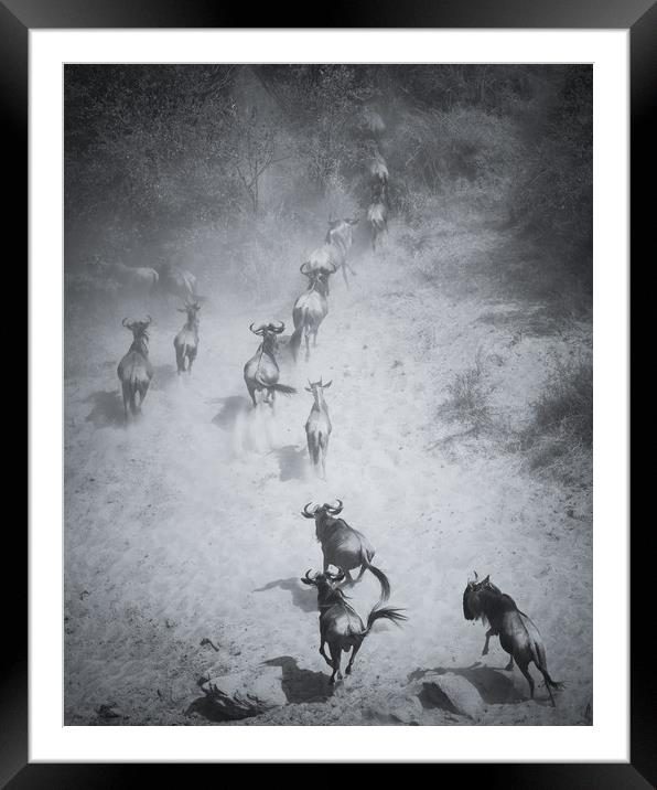 Race to the river Framed Mounted Print by Sue MacCallum- Stewart