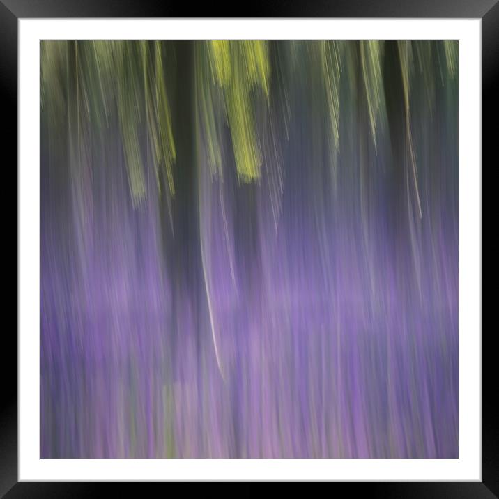 Lime & Purple Framed Mounted Print by Sue MacCallum- Stewart