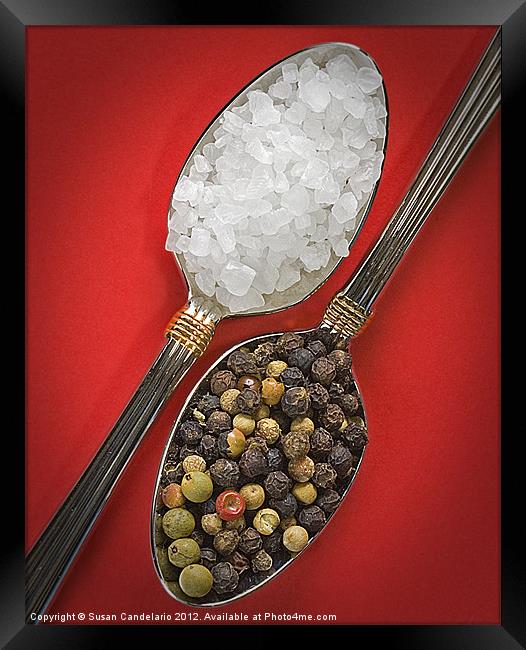 Spoonfuls of Salt and Pepper Framed Print by Susan Candelario