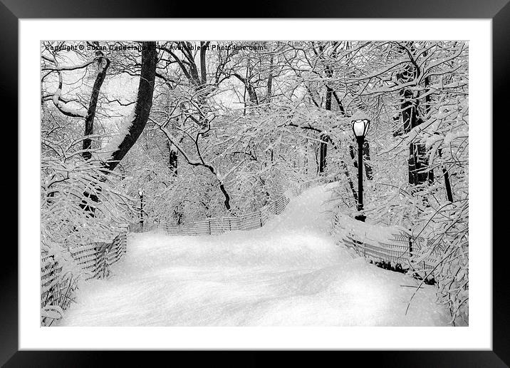 Central Park Dressed Up In White Framed Mounted Print by Susan Candelario