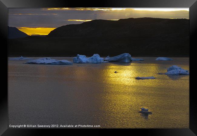 Iceberg Sunset Framed Print by Gillian Sweeney