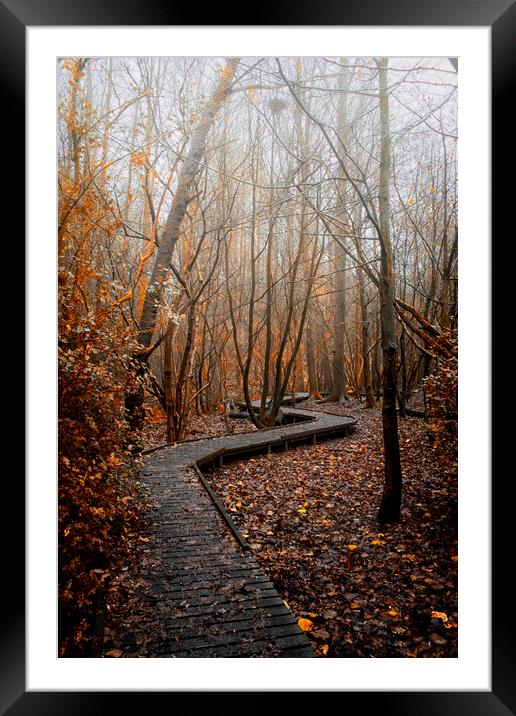 Foggy nature trail Moses Gate Little Lever Bolton Framed Mounted Print by Jonathan Thirkell