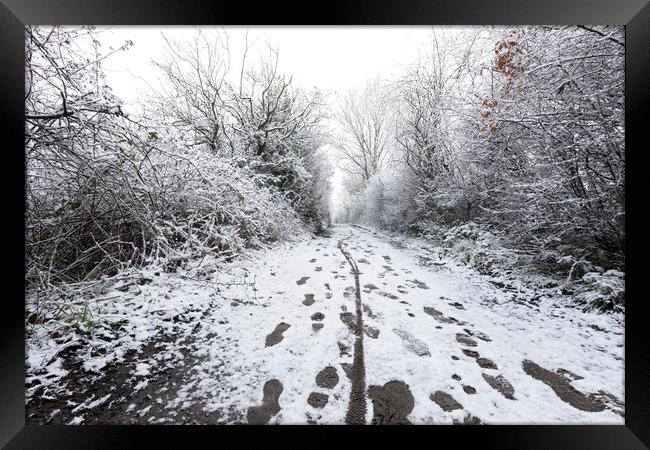 Snow path a Elton Reservoir Bury Framed Print by Jonathan Thirkell