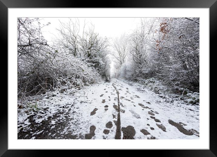 Snow path a Elton Reservoir Bury Framed Mounted Print by Jonathan Thirkell