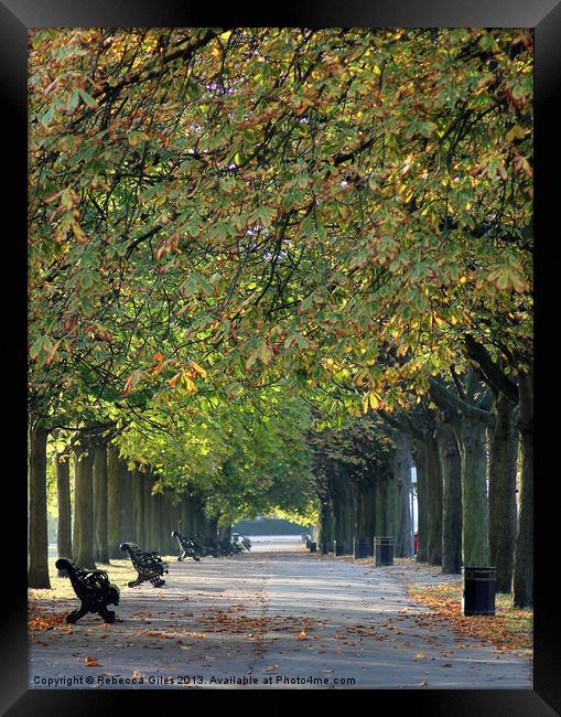 Walk in the Park Framed Print by Rebecca Giles