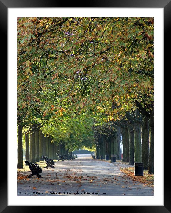 Walk in the Park Framed Mounted Print by Rebecca Giles