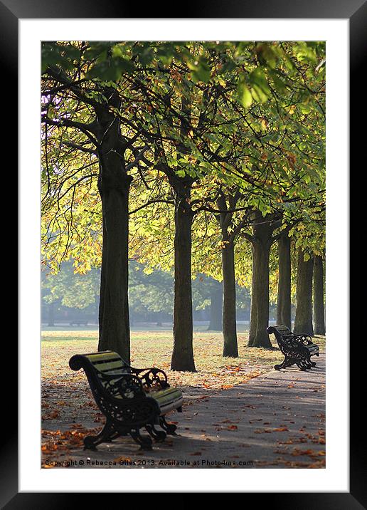Autumn Sunshine Framed Mounted Print by Rebecca Giles