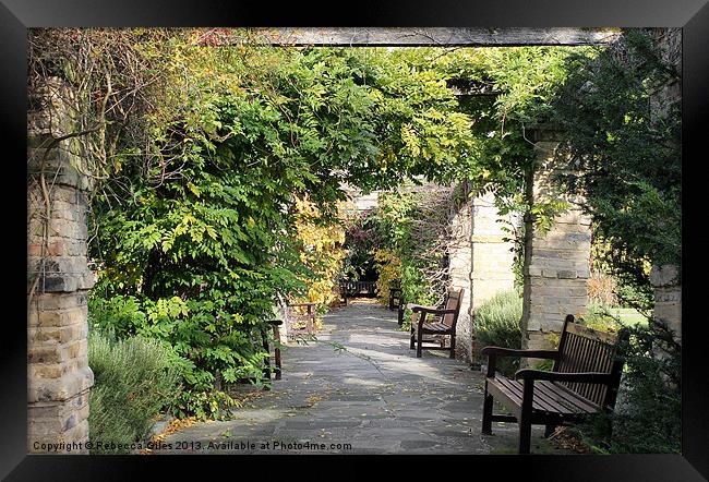 Path to nowhere Framed Print by Rebecca Giles