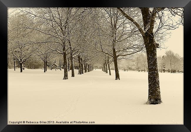 Danson Park  Framed Print by Rebecca Giles