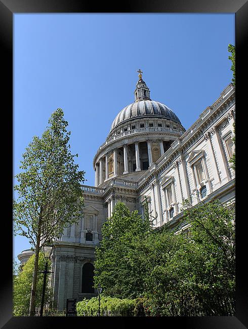 St Pauls Catherdal Framed Print by Rebecca Giles