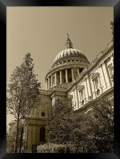 St Pauls Catherdal Framed Print by Rebecca Giles