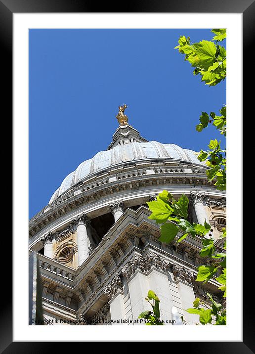 St Pauls Catherdal Framed Mounted Print by Rebecca Giles