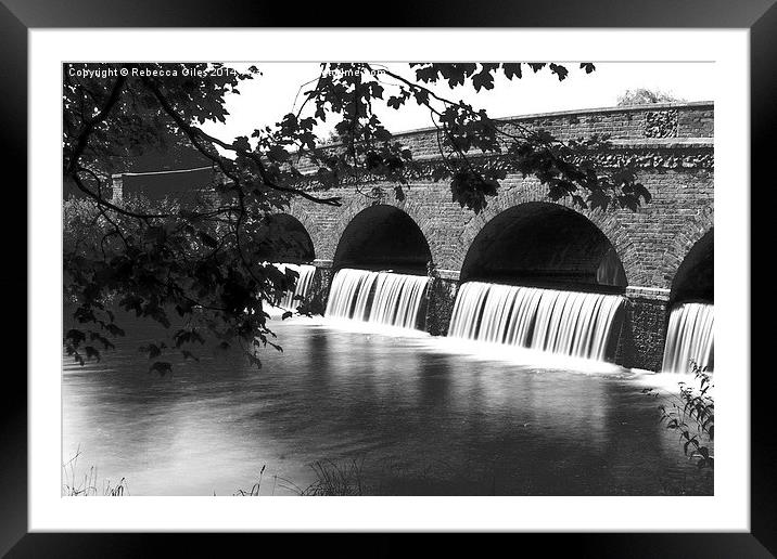  Five Arches   Framed Mounted Print by Rebecca Giles