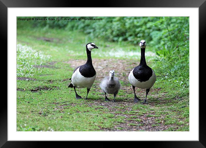  Family of three Framed Mounted Print by Rebecca Giles