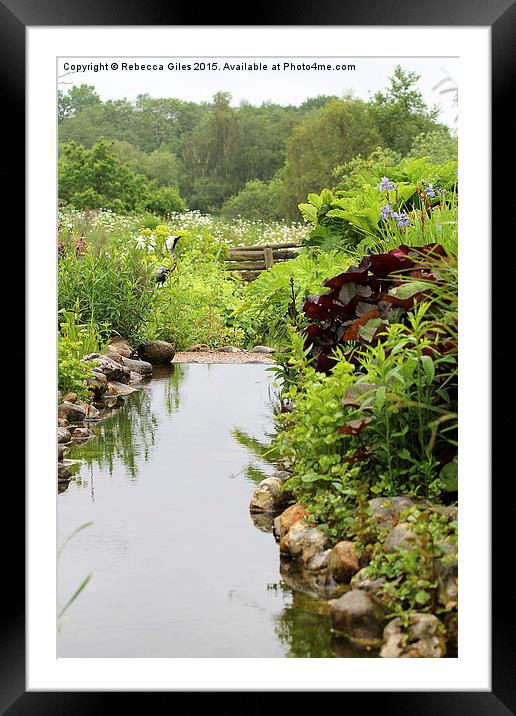  Beyond the pond Framed Mounted Print by Rebecca Giles