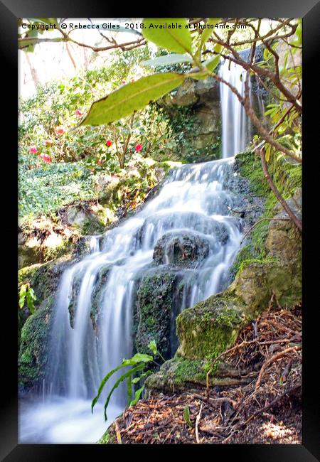 Waterfall Framed Print by Rebecca Giles