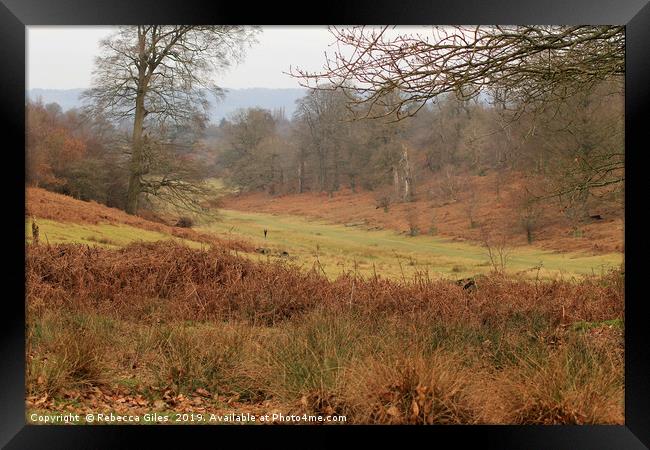 A walk in the countryside Framed Print by Rebecca Giles