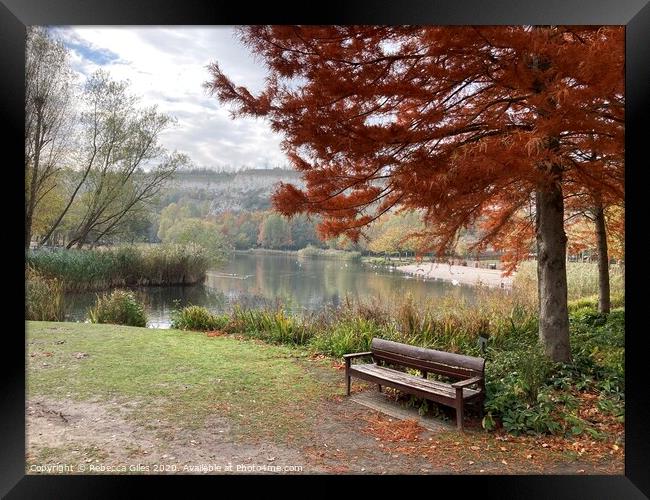 Bench by the lake Framed Print by Rebecca Giles