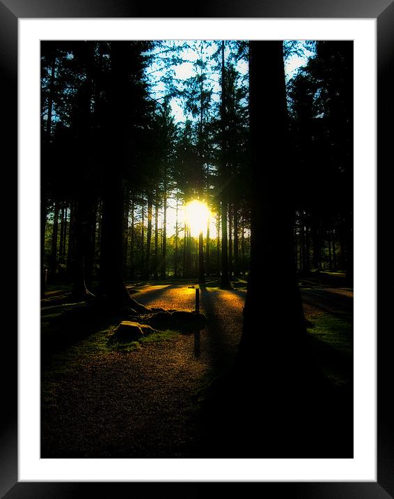 Sunset through the Trees Framed Mounted Print by Jay Lethbridge