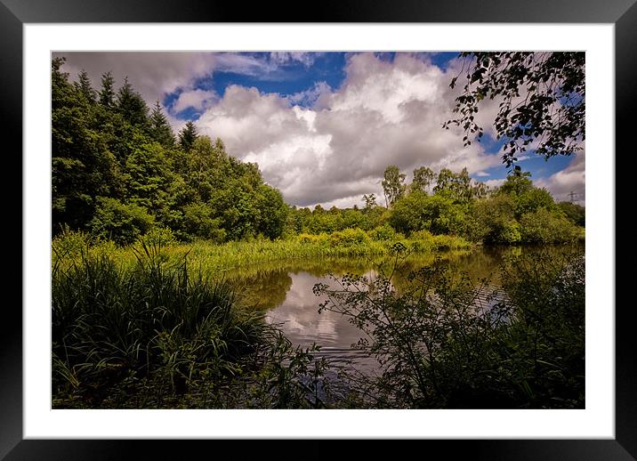 Stover Country Park in Colour Framed Mounted Print by Jay Lethbridge