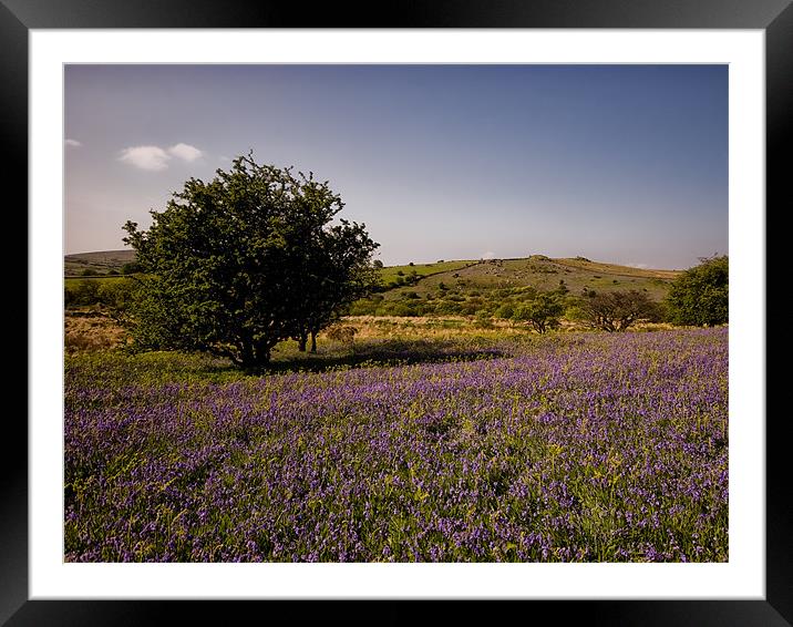 Holwell Lawn, Dartmoor National Park Framed Mounted Print by Jay Lethbridge
