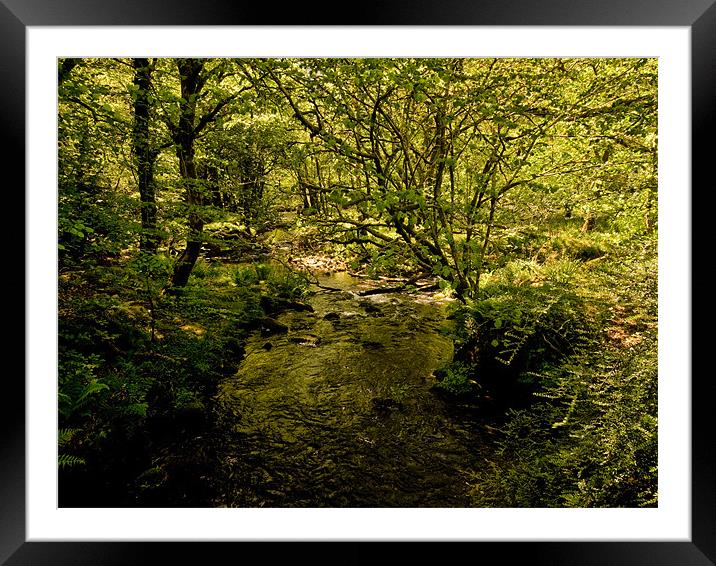 River Meavy, Dartmoor Framed Mounted Print by Jay Lethbridge
